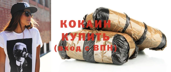 МДПВ Вяземский