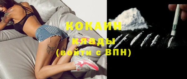 крисы Вязьма