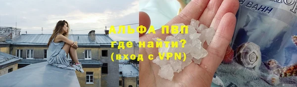 МДПВ Вяземский