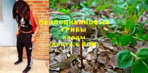 крисы Вязьма