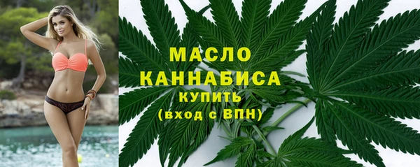 крисы Вязьма