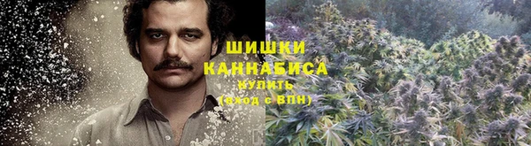 крисы Вязьма