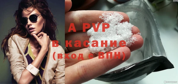 крисы Вязьма