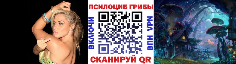 Галлюциногенные грибы GOLDEN TEACHER  Ессентуки 